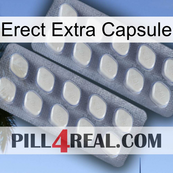 Erect Extra Capsule 07.jpg